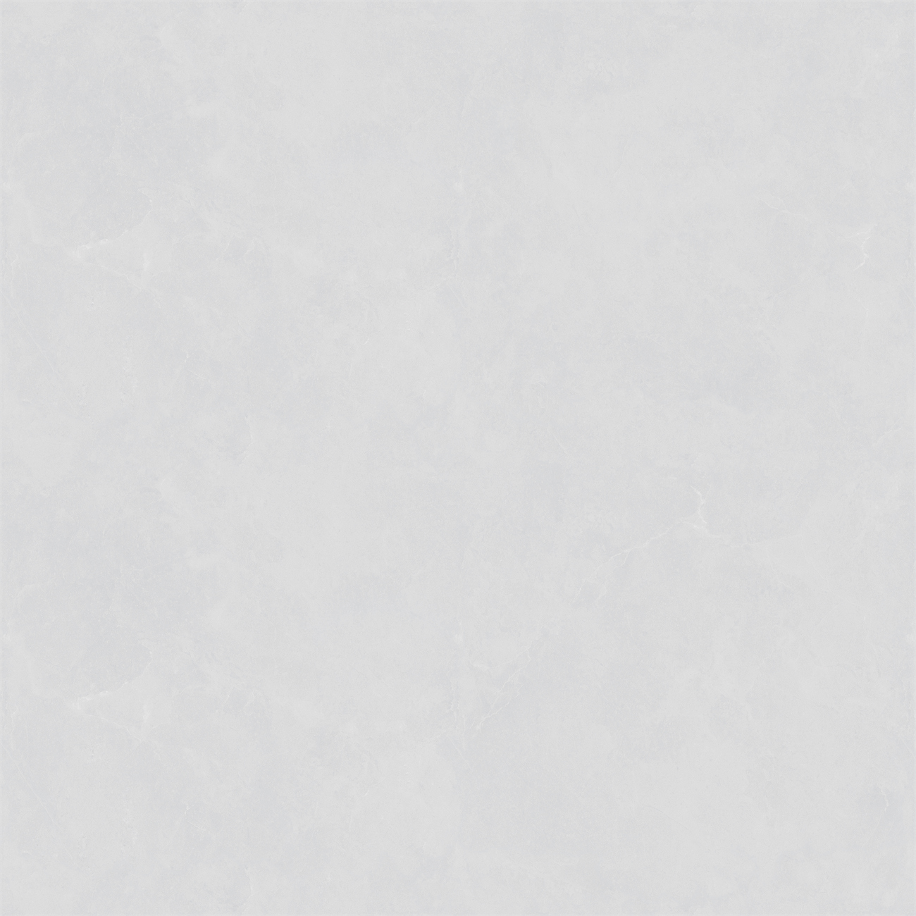 STD8667.jpg