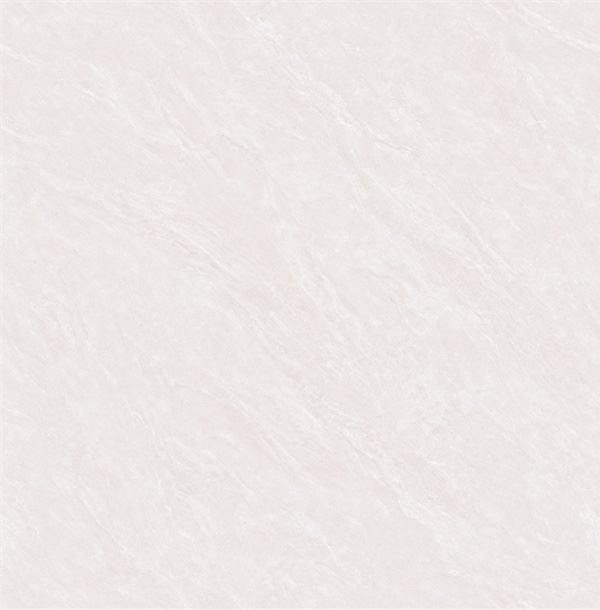 STD8047_01.jpg