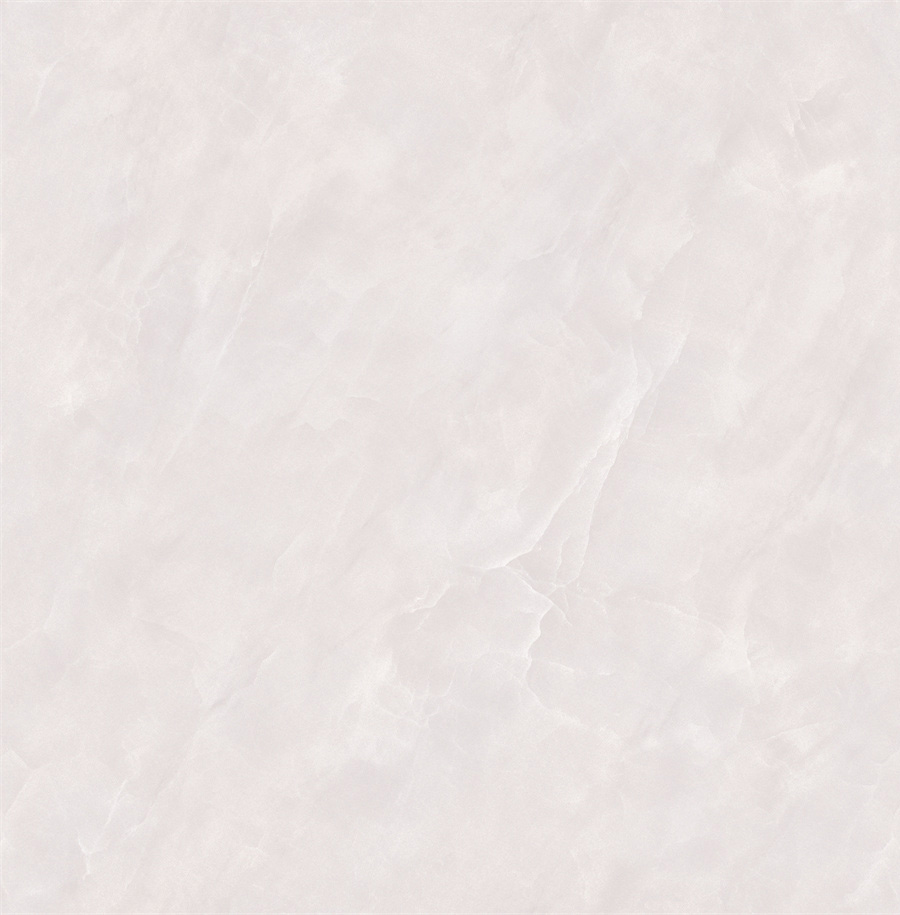 STD8033_01.jpg