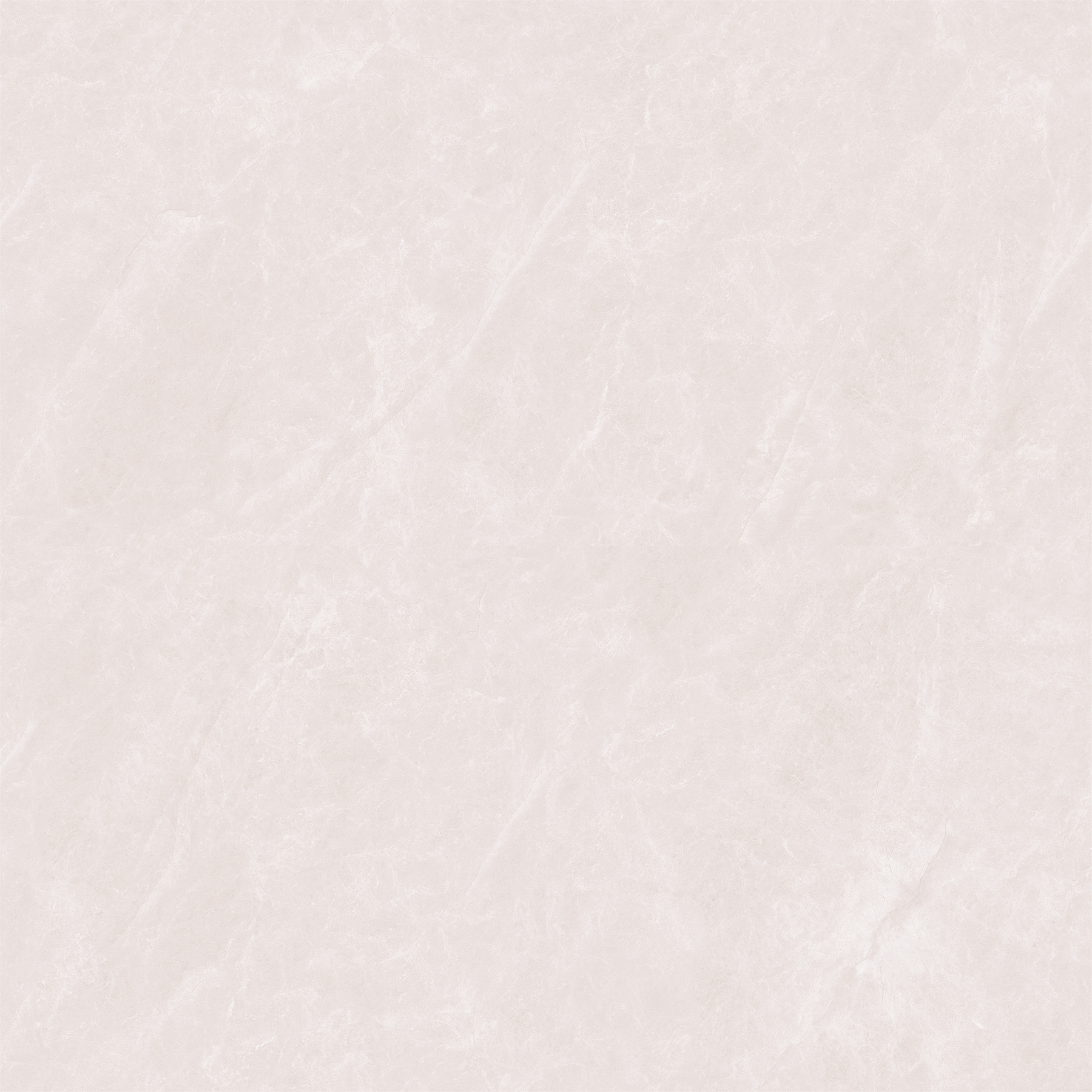 STD8025.jpg
