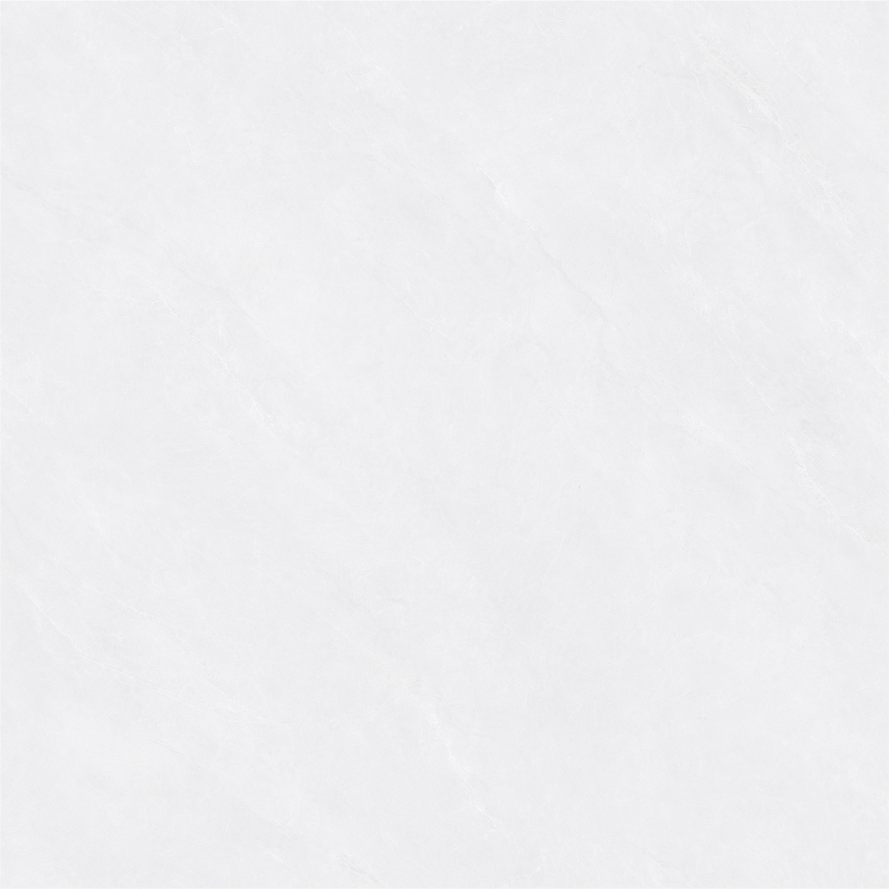 STD333-4.jpg